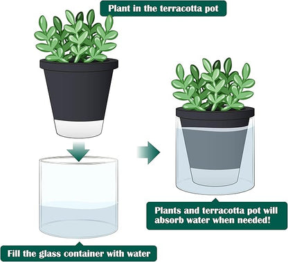 D'vine Dev 4 Inch Design Self Watering Planter for Indoor Plants, Black Terracotta Pot with Cylinder Glass Cup, Set of 2, 37-Y-A-3