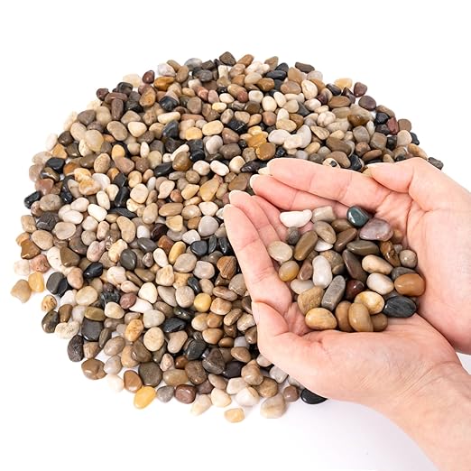 GreatBuddy 2.5-lb Pebbles for Indoor Plants, 3/8" Pea Gravel for Vases, Small Rocks for Succulents, Fish Tanks, Aquariums, Terrarium, Drainage Pebbles for Potted Plants, River Rocks for Landscaping