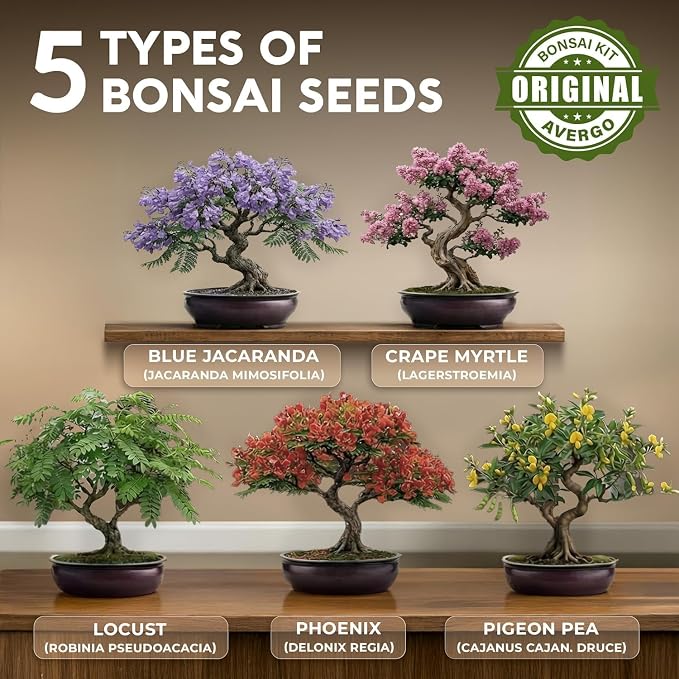 Bonsai Tree Kit Deluxe - 5X Unique Japanese Bonzai Trees | Complete Indoor Bonsai Starter Kits for Growing Trees – DIY Gardening Gifts for Mother, Women & Men, for Father's Day