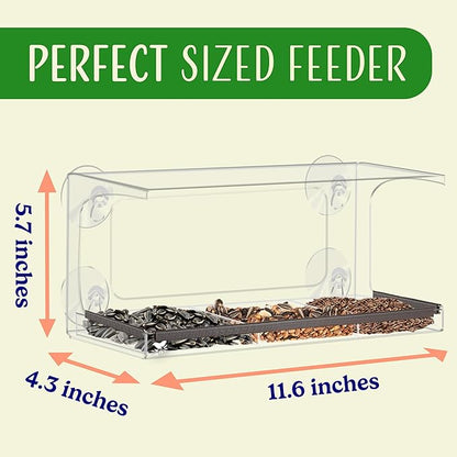 Long Style Bird Feeder with Hole