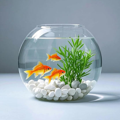 White Natural River Rocks, 1-1.5 Inch Decorative Stones for Plants, Garden, and Landscaping – 40LB, Ideal for Fish Tanks, Vases, Crafting, Home Decor, and Outdoor Landscaping