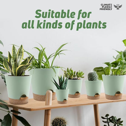 YNNICO Indoor Self Watering Planters with Drainage Holes and Saucers, 8, 7, 6.5, 6, 5.5, 5 Inches, Green, 6 Pots.