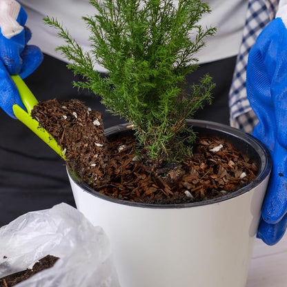 Doter Bonsai Soil Mix Ready to Use (4qt), Premium Fast Draining Organic All Purpose Potting Mix for All Varieties of Bonsai