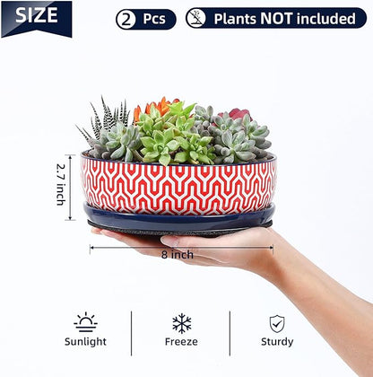 Selamica Ceramic Succulent Pots, Shallow Succulent Planters with Drainage Hole & Saucer, Indoor Plant Pots for Cactus, Home Decor，Assorted Colors,8 inch，Set of 2