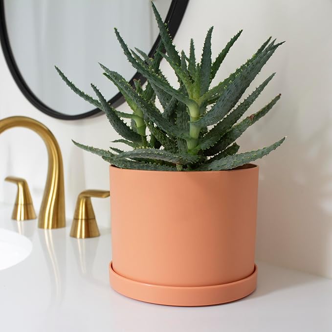 Bloem Mathers 6" Muted Terra Cotta Round Modern Resin Garden Planter Pot with Drainage Holes and Removable Saucer Tray Included