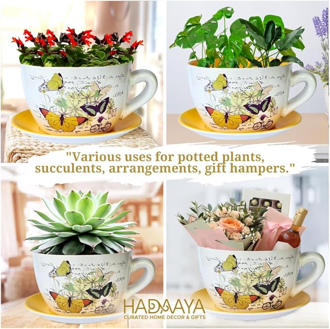 7.5” Round Ceramic Teacup Shape Planter Pot with Saucer for Succulents Orchid Herbs Cactus Indoor Houseplants Flowers for Home Garden and Event Decor Yellow Butterfly Garden