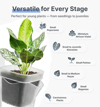 16 Pack 2" Mini Self Watering Pots for Indoor Plants, Small Clear Deep Square Plastic Planters,Self Watering Planters Garden Flower Pots for fluval Stratum,alocasia Live Plant