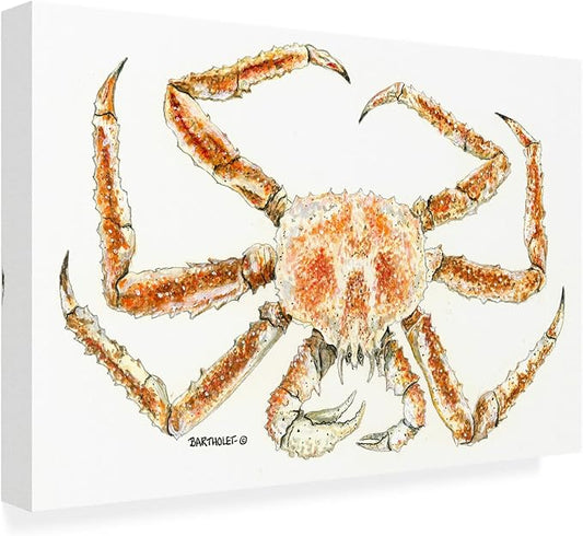 Outdoor Canvas Art - Dave Bartholet 'King Crab' Wall Art for Outdoor Spaces, Patios, or Gardens by Trademark Fine Art