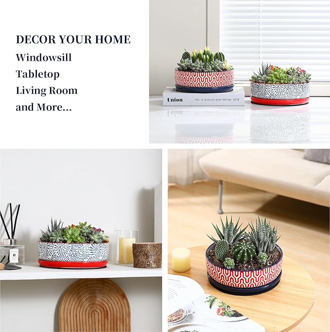 Selamica Ceramic Succulent Pots, Shallow Succulent Planters with Drainage Hole & Saucer, Indoor Plant Pots for Cactus, Home Decor，Assorted Colors,8 inch，Set of 2