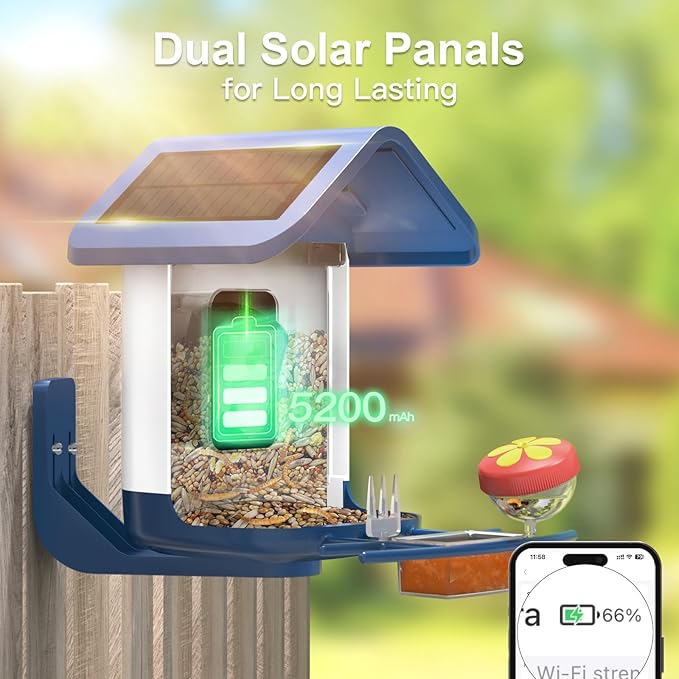 Bird Feeder with Camera Solar Powered : Smart Camera Bird Feeder 2K Live Feed Cam for Outdoor Backyard - AI Identify Auto Capture Videos Pictures, Gifts for Birdlover Mom Dad, 2.4GHz WiFi