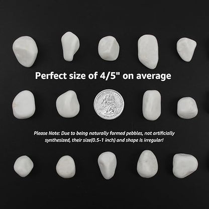 10 lbs White Polished Decorative Stones, 0.5-1 Inch Landscape Rocks for Indoor Plants, Garden, Outdoor Pathways, Vase Fillers, Pots, Glass Containers, and Craft Pro (Pure White, Weight: 10 LB)