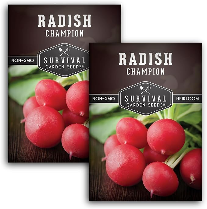 Champion Radish Seeds for Planting – Fast Growing Heirloom for Spring & Fall Gardens – Large Round Red Radishes, White Flesh – Heat & Cool Weather Hardy – Survival Garden Seeds (2 Packs)