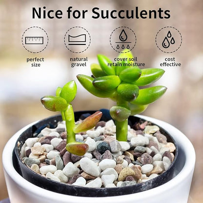 10 lbs Colorful Pebbles Pea Gravel for Landscaping, 3/8 Inch Decorative River Rocks for Plant Indoor Succulent Cactus Vase Garden and Plant Pots