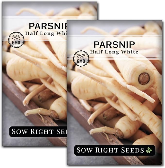 Sow Right Seeds - Half Long White Parsnip Seeds for Planting - Non-GMO Heirloom Packet with Instructions to Plant an Outdoor Home Vegetable Garden - White Flesh Root Parsnip - Spring and Fall (2)