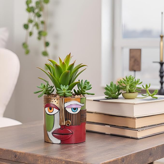 XMGZQ Abstract Cubism Face Planter,Pop Art Sculpture & Vase Decor,Unique Picasso Style Flower Pot,for 4-6 Inch Succulents & Houseplants,Drainage Hole Included,Statement Gift (Eclectic)