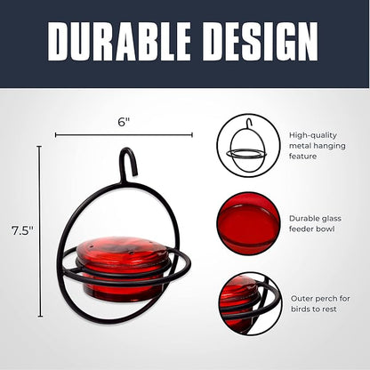 Monarch Abode Hanging Hummingbird Feeders for Outdoors – Single Handcrafted Hanging Glass Hummingbird Feeder with Red Bowl & Perch, Decorative Humming Bird Feeders for Outdoors Garden Patio Deck