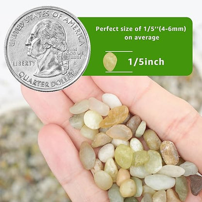 5lbs Natural Gravel Pebbles for Succulents and Cacti, 1/5 Inch Decorative River Stones – Perfect for Vases, Aquariums, Terrariums, and Outdoor Gardening, Mixed Colors (Jade, 5 Pounds)