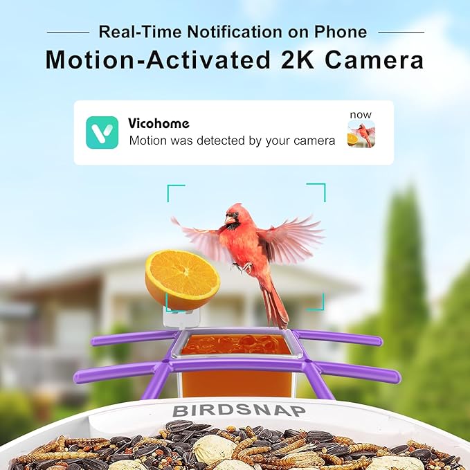 birdsnap® TUC Bird Feeder with Camera 2K HD, Solar Panel 32GB Card 4-in-1 Perch, 160°View Auto Detect & Notify AI Identify Video Bird Camera Wireless Outdoors Ideal Gift for Birds Lover