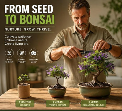 Bonsai Tree Starter Kit for Beginners - 5 Unique Japanese Bonzai Tree Seeds, Complete Indoor DIY Growing Kit, Perfect Gardening Gift for Adults, Men & Women