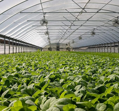 Garden Netting Pest Barrier: 10'x20' Fine Bug Netting for Garden Protection Row Cover Raised Bed Screen Mesh Greenhouse Mosquito Net, Protecting Tree Plants Vegetable Flowers Fruits