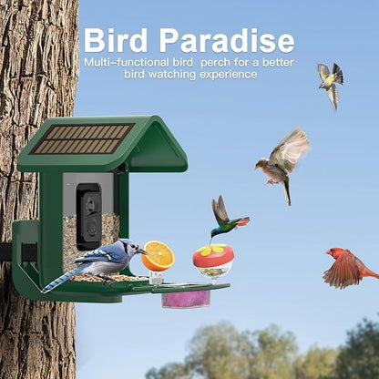 Bird Feeder with Camera Solar Powered : Smart Camera Bird Feeder 2K Live Feed Cam for Backyard - AI Identify Auto Capture Videos Pictures, Gifts for Birdlover Mom Dad, 2.4GHz WiFi