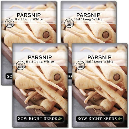 Sow Right Seeds - Half Long White Parsnip Seeds for Planting - Non-GMO Heirloom Packet with Instructions to Plant an Outdoor Home Vegetable Garden - White Flesh Root Parsnip - Spring and Fall (4)