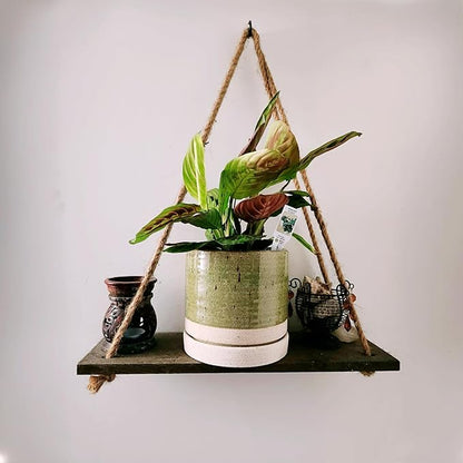 HERDUK 6 Inch Plant Pots, Ceramic Planter Pot with Drainage Hole & Saucer, Indoor/Outdoor Cylinder Round Planter Pot, Green & Beige