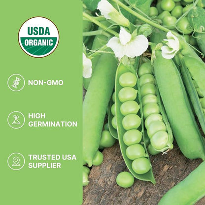 Sugar Snap Pea Seeds for Planting | Organic Non-GMO Vegetable Seeds for Planting Home Garden Indoor & Outdoor | Cool Season Crop,Super Productive