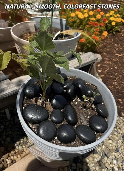 9lb Black River Rocks for Plants, 1-3 Inch Pebbles for Indoor Plants, Polished Garden Rocks Outdoor Landscaping, Decorative Stones for Vases, Succulents, Aquarium, Walkways