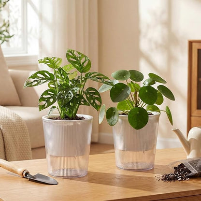 6 Pack Self Watering Pots for Indoor Plants Plastic Vertical Ribbed Semi Transparent Planters, Dual Layer Reservoir for Indoor Succulents Herbs Pothos(Clear, White,4.4 x 4.9 Inch)