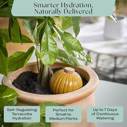 Rosy Soil Plant Parent Essentials Gift Box - Indoor Plant Kit & Gardening Tool Kit | Peat-Free Houseplant Soil, Terracotta Watering Bulb, Soil Scoop, Plant Brush - Gift for Plant Lovers