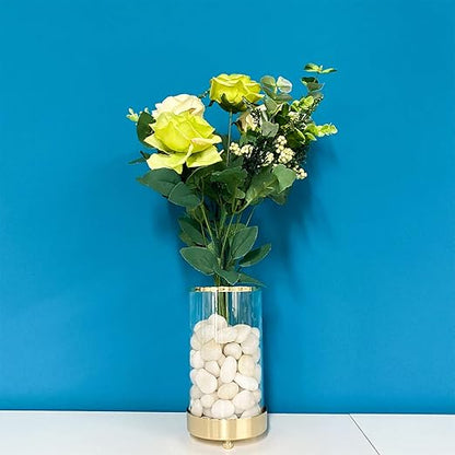 FANTIAN 2 lbs Small White Pebbles for Plants, 0.8-1.2 inch Decorative River Rocks for Plants, Aquariums, Landscaping. White Stones for Planter Vase and Outdoor Garden Rocks