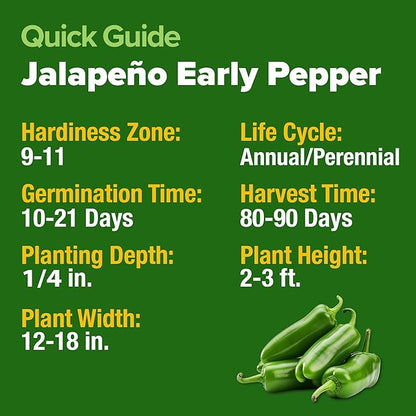 HOME GROWN Jalapeno Pepper Seeds – 258 Heirloom Seeds (Capsicum annuum) – High Germination, Easy to Grow, Early Harvest Hot Peppers