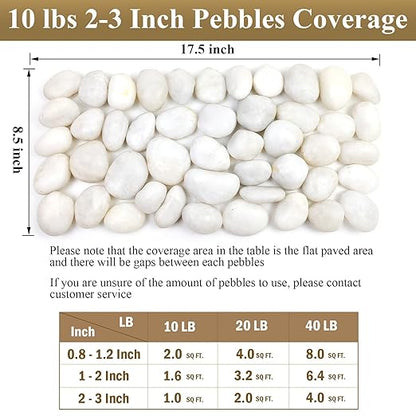 FANTIAN 5 lbs Large White River Rocks, 2-3 inch Pebbles for Indoor Plants, Polished Decorative Stones for Planters Vase Aquarium and Outdoor Garden Landscaping Rocks