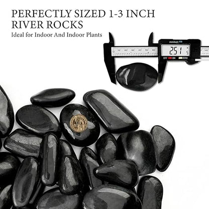 4lb Black River Rocks for Plants, 1-3 Inch Pebbles for Indoor Plants, Polished Garden Rocks Outdoor Landscaping, Decorative Stones for Vases, Succulents, Aquarium, Walkways