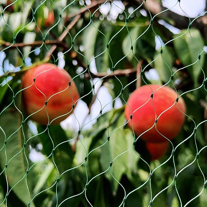 Bird Netting for Garden 6.5X100 FT, 1/4 Inch Mesh, Protect Blueberry, Strawberry, Tomatos, Vegetables. Fruit Tree Netting for Cicadas Against Deers, Squirrels, Bunnies, and Small Critters.