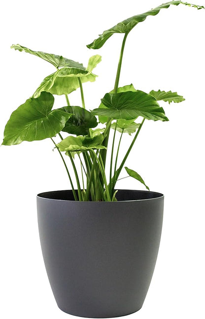 Memphis 13" Round Indoor Floor Planter Pot – Lightweight & Durable Plastic, Modern Design, Made in USA, Recyclable Large Plant Container for Home & Office Décor (Charcoal Meta