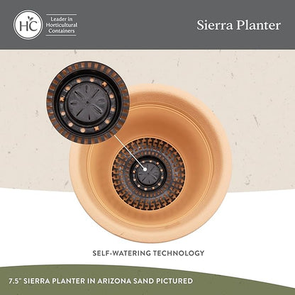 The HC Companies Sierra Round Self-Watering Pot - Lightweight Plastic Planter for Herbs & More - Durable Plant Pots for Indoor Plants & Outdoor Plants (13” Arizona Sand, Pack of 1)