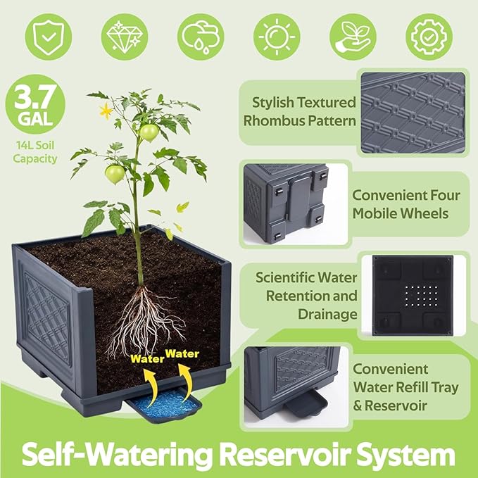 Tomato Planter Box with Trellis - Self-Watering Rolling Raised Garden Bed with Tomato Cages for Climbing Plants - Tomato Trellis with Planter Support for Flower Vegetable Vine Indoor Outdoor