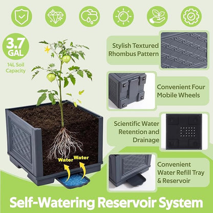 Tomato Planter Box with Trellis - Self-Watering Rolling Raised Garden Bed with Tomato Cages for Climbing Plants - Tomato Trellis with Planter Support for Flower Vegetable Vine Indoor Outdoor