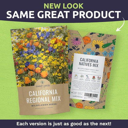 California Natives Mix - Bulk 1 Pound Bag - Over 120,000 Native Seeds - Open Pollinated and Non GMO