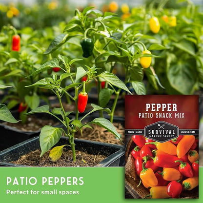 Patio Snack Mix Mini Sweet Pepper Seeds for Planting | Compact Lunchbox-Style Heirloom Variety – Non-GMO Container Garden Peppers – Survival Garden Seeds (1 Pack)