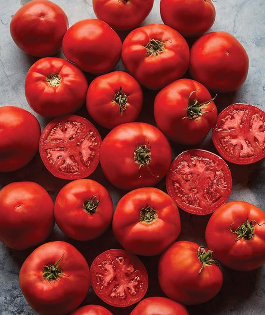 Burpee Big Boy Hybrid Tomato Seeds – Large Slicing Tomato Variety with Rich Flavor, 50 Non-GMO Seeds