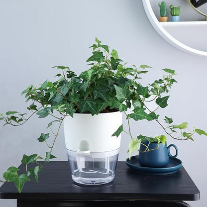 Oliz 6 Inch Self Watering Plastic Plant Pots for Indoor Plants - 3 Pack White Orchid Planters with Wick Ropes & Drainage Holes, Modern Decorative Garden Pots with Water Reservoir