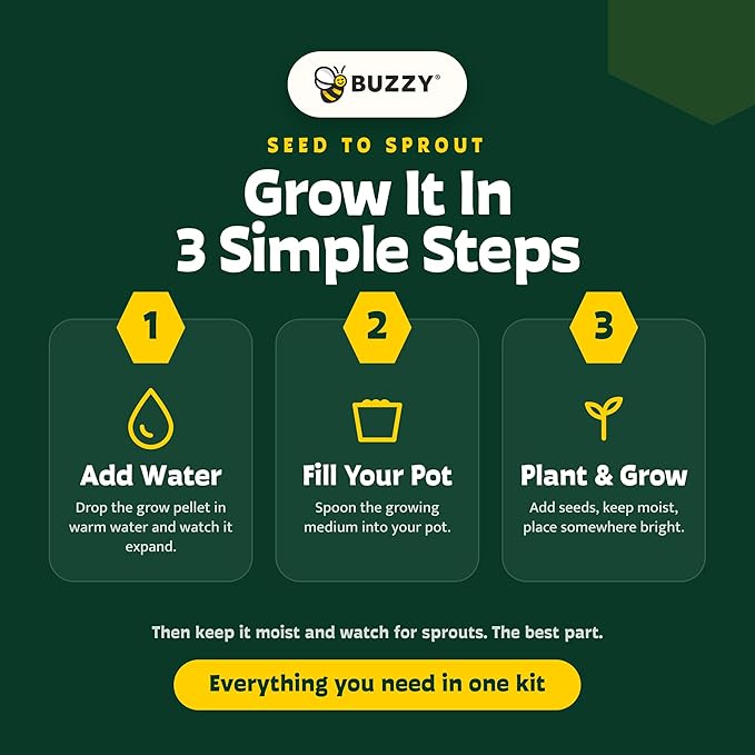 Buzzy Seeds Spruce Christmas Tree Grow Kit - Metal Windowsill Planter - Complete Indoor/Outdoor Gardening Kit with Seeds, Coconut Husk Growing Medium & Genuine Pots - 100% Grow Guarantee
