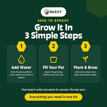 BUZZY Seeds Bonsai Starter Kit, Norway Spruce, Complete Indoor Gardening Gift, DIY Mini Tree Project, Soothing Indoor Hobby for Home or Office, Fun Stocking Stuffer, Housewarming Present