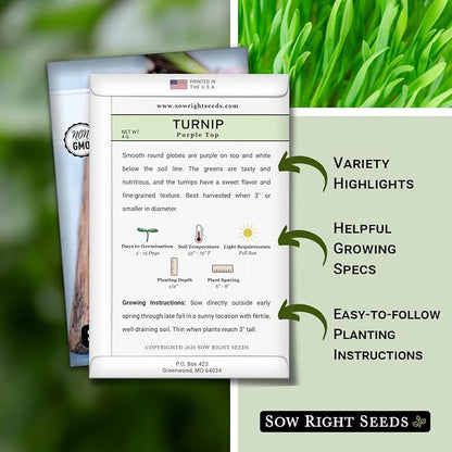 Sow Right Seeds - Purple Top White Globe Turnip Seeds for Planting - Non-GMO Heirloom Packet with Instructions to Plant a Home Vegetable Garden - Early Season, Cold Hardy - Classic Variety (4)