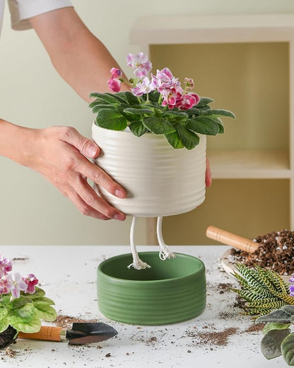 Fayoula Self Watering Pots for Indoor Plants, 6 Inch Ceramic Self Watering Plant Pot, Planter Pot with Wick Rope and Drainage Hole for African Violet Succulent Herbs (White Matte)