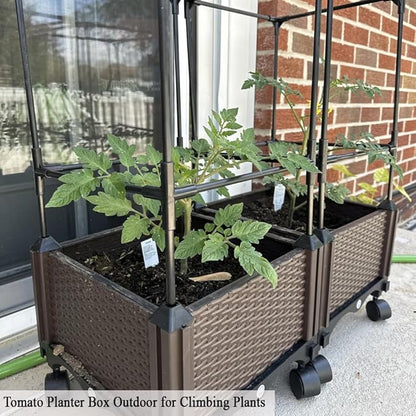 Tomato Planter with Trellis, 62" H Rolling Planter Box with Wheels & Water Reservoir, Self-Watering Raised Garden Bed for Climbing Plants, Tomato, Potato, Vegetables, Chili