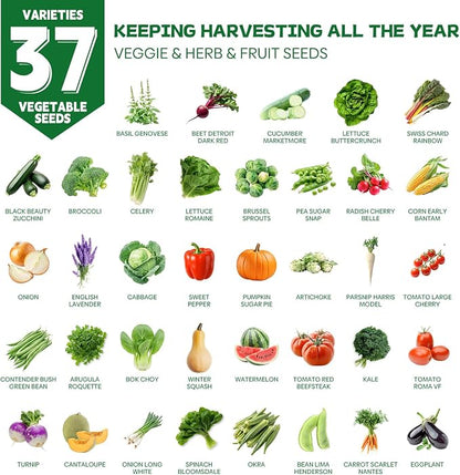 Groundio 40,000+ Heirloom Seeds Kit, 37 Vegetable Seeds Variety Pack - Non GMO for Planting Vegetables, Fruit and Herbs, Outdoor Garden Seeds for Planting Gift for Mother, Women, Mom, Friend